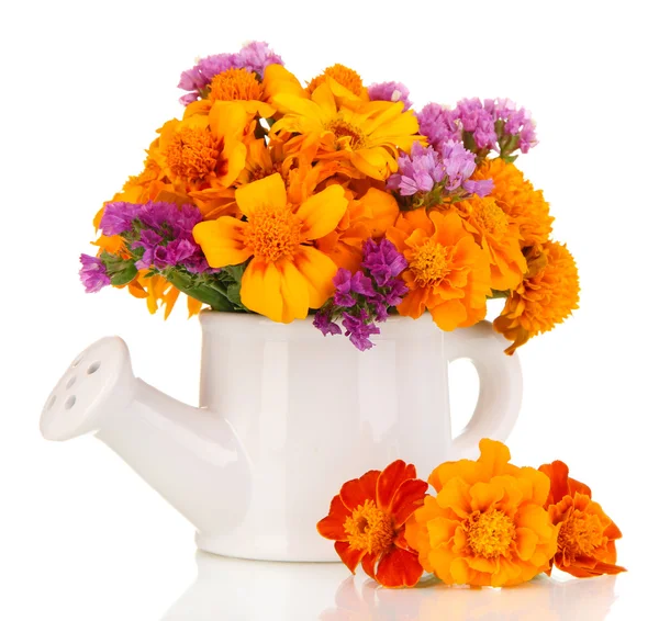 Bouquet of marigold flowers in watering can isolated on white — Stock Photo, Image