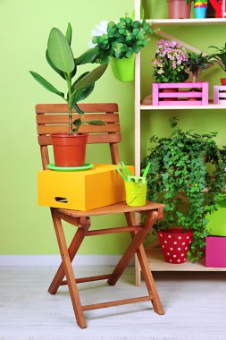 Tencere Oda çok güzel çiçekler