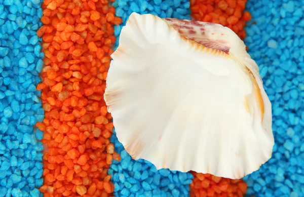 Concha sobre cristales de colores de fondo de sal marina —  Fotos de Stock