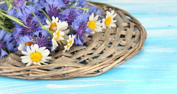 Mooi boeket van korenbloemen en chamomiles op blauwe achtergrond — Stockfoto