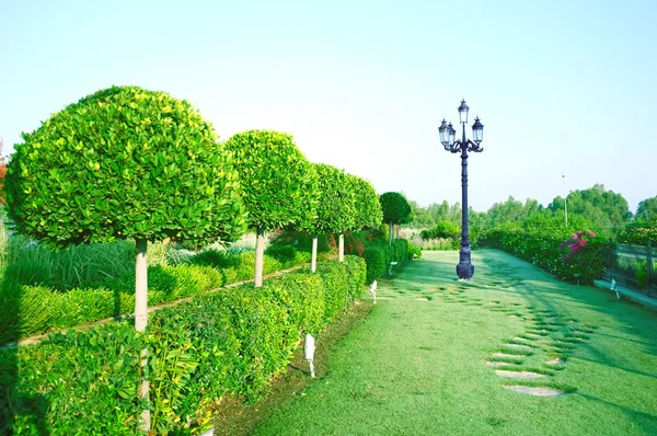 Paisajismo en el jardín — Foto de Stock