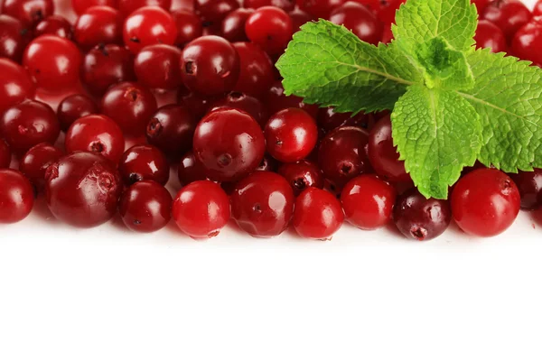 Reife rote Preiselbeeren, isoliert an Pfingsten — Stockfoto