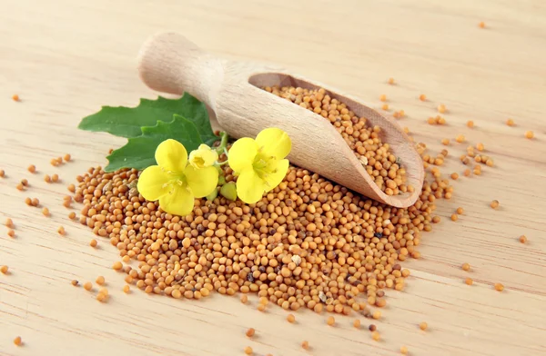 Semillas de mostaza con flor de mostaza sobre fondo de madera — Foto de Stock