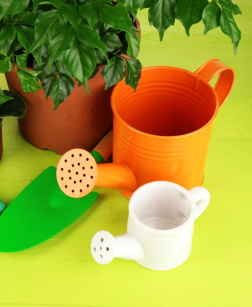 Belles fleurs en pots sur table en bois close-up — Photo