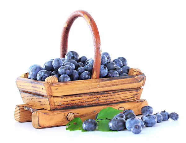 蓝莓隔离在白色的木制篮子里 — 图库照片