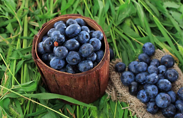 Bleuets dans un panier en bois et sac sur l'herbe — Photo