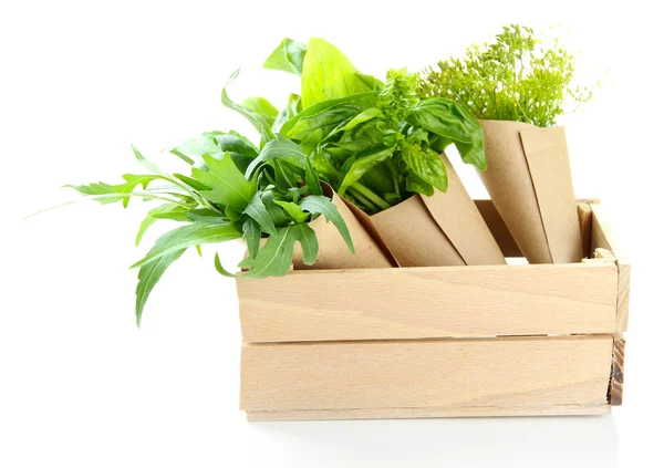 Fresh herbs in wooden crate, isolated on white — Stock Photo, Image