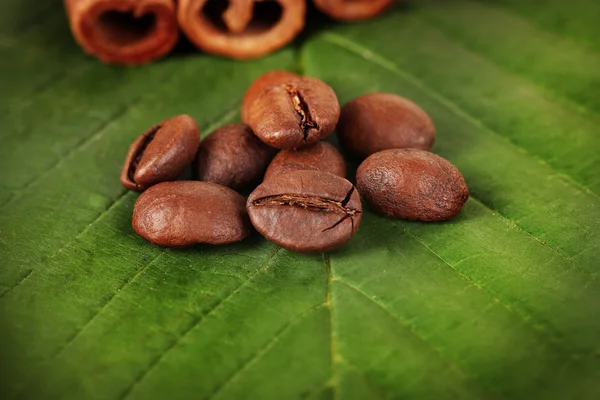 Coffee grains and cinnamon on sackcloth on green leafs close-up — Stock Photo, Image