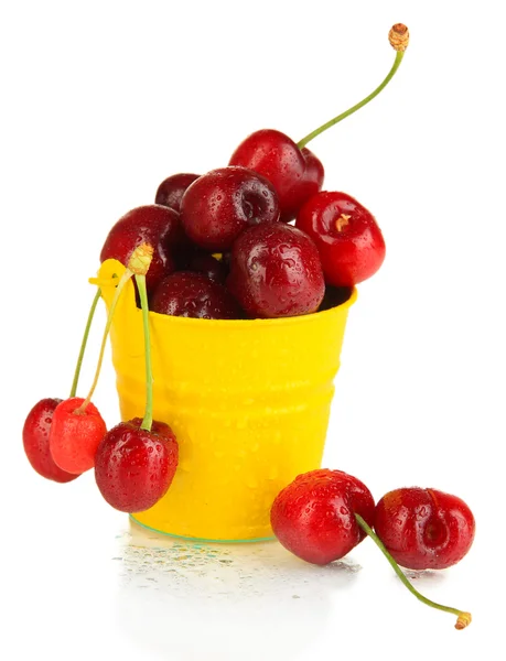 Ripe red cherry berries in pail isolated on white — Stock Photo, Image