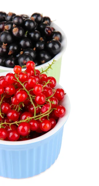 Grosella roja y negra en cuencos aislados sobre blanco — Foto de Stock