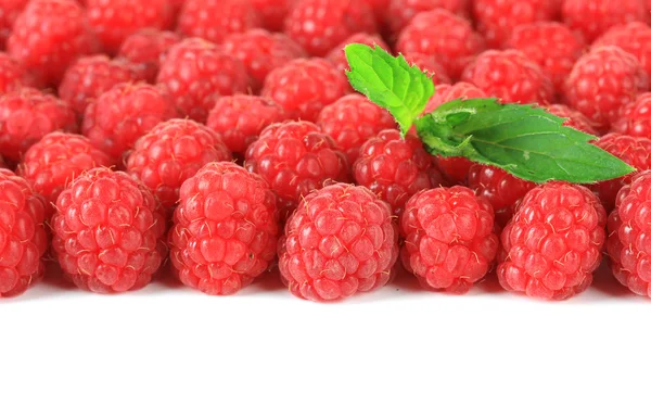 Ripe sweet raspberries isolated on white — Stock Photo, Image