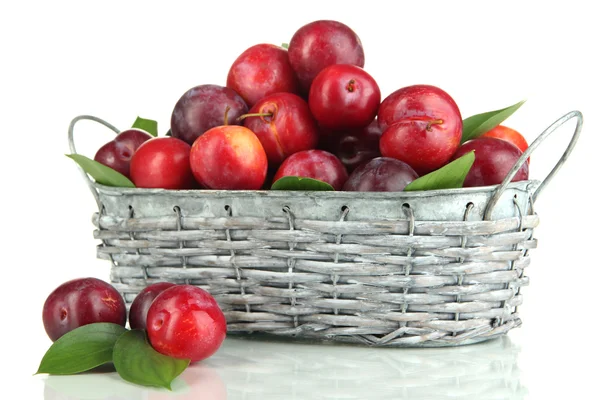 Prunes mûres dans le panier isolé sur blanc — Photo