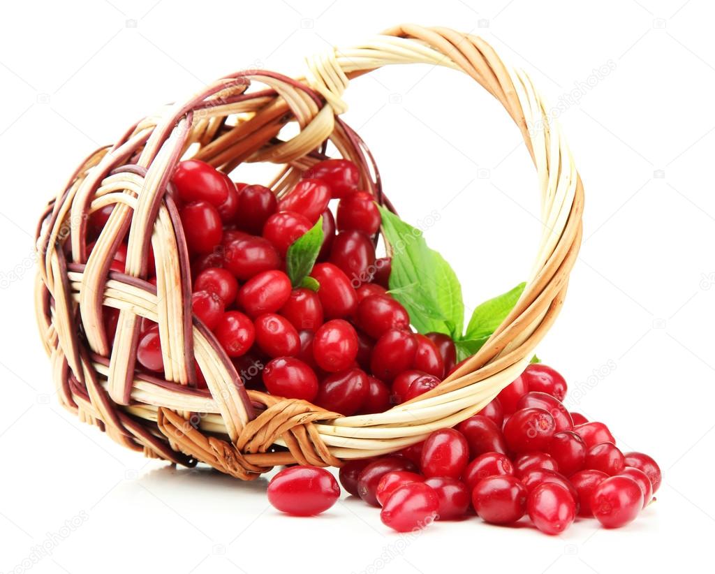 Fresh cornel berries in wicker basket, isolated on white