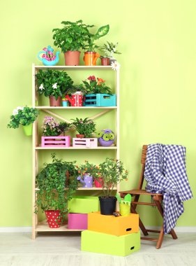 Tencere Oda çok güzel çiçekler