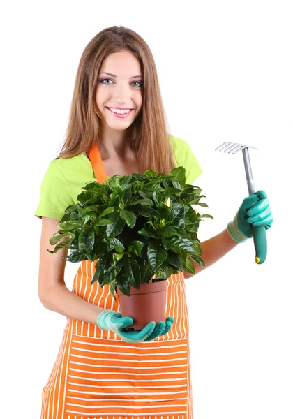 Bella ragazza giardiniere con fiore isolato su bianco — Foto Stock