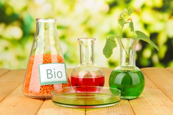 Conceptual photo of bio fuel. On bright background — Stock Photo, Image