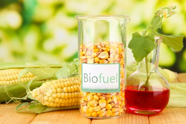 Conceptual photo of bio fuel. On bright background — Zdjęcie stockowe