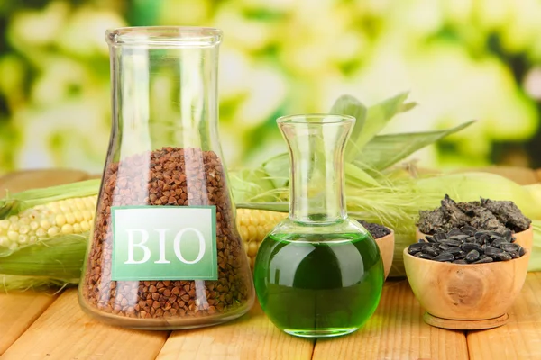 Conceptual photo of bio fuel. On bright background — Stock Photo, Image