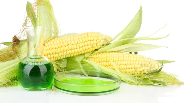 Foto conceptual de biocombustible del maíz. Aislado sobre blanco — Foto de Stock