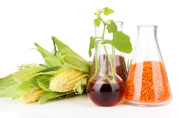 Conceptual photo of bio fuel. Isolated on white — Stock Photo, Image