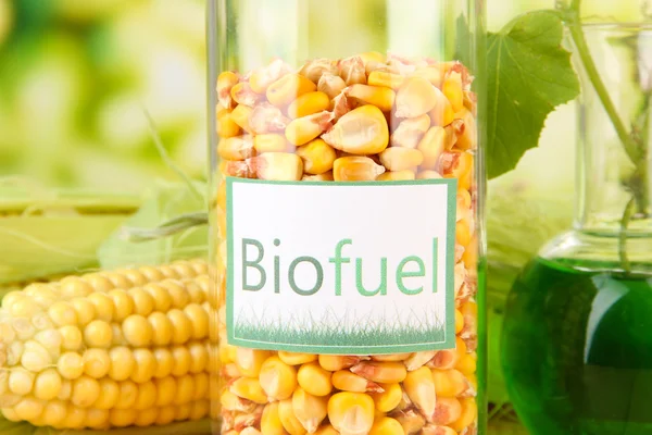 Foto concettuale di biocarburante. Sullo sfondo luminoso — Foto Stock