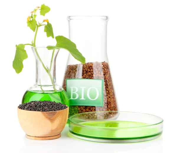 Konzeptfoto von Biokraftstoff. isoliert auf weiß — Stockfoto