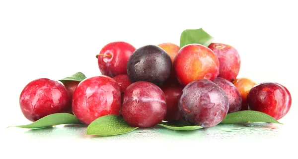 Ripe plums isolated on white — Stock Photo, Image