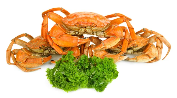 Boiled crabs isolated on white — Stock Photo, Image