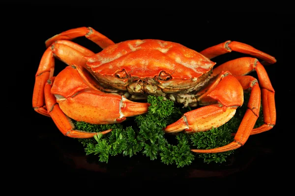 Crabe bouilli isolé sur noir — Photo