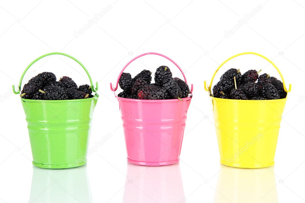 Ripe mulberries in buckets isolated on white