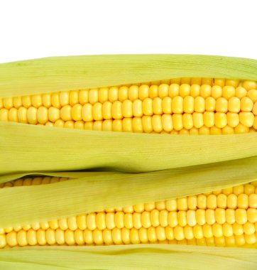 ham Mısır üzerinde beyaz izole