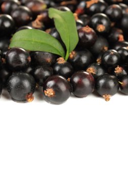 Beyazda siyah frenk üzümü