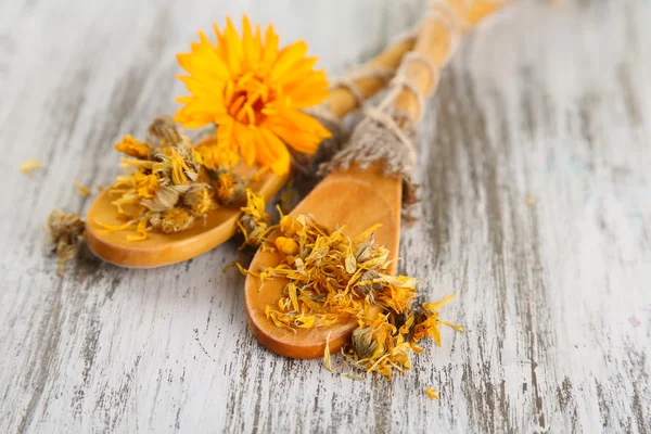 Fiori di calendula freschi e secchi su fondo di legno — Foto Stock