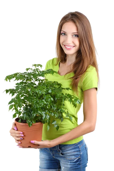 Bella ragazza con fiore in vaso isolato su bianco — Foto Stock