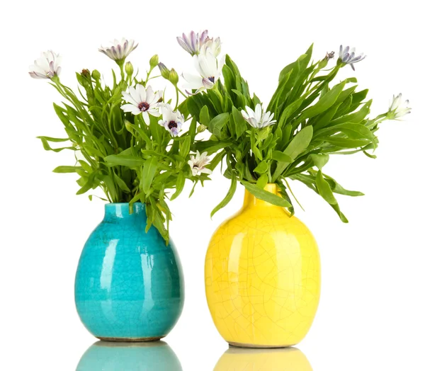 Ramo de hermosas flores de verano en jarrones de color, aislados en blanco — Foto de Stock