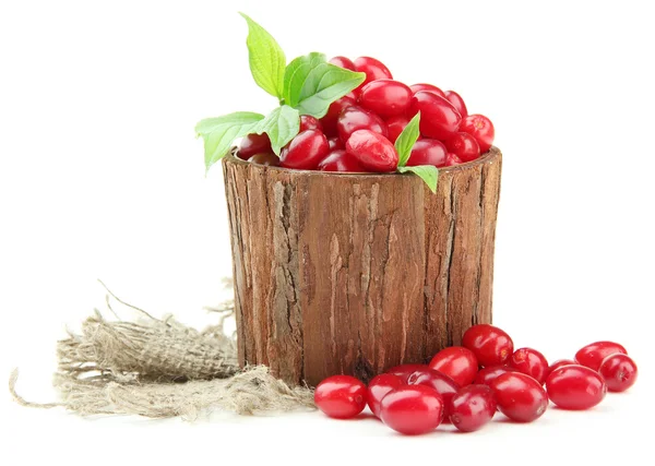 Fresh cornel berries in wooden vase, isolated on white — Stock Photo, Image