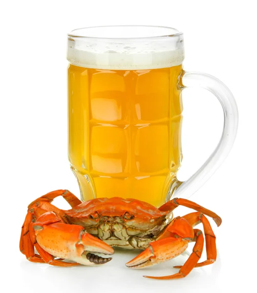 Gekochte Krabben und Bier, isoliert auf weiß — Stockfoto