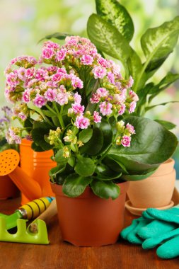 Tencere doğal zemin üzerine ahşap masa üzerine güzel çiçekler