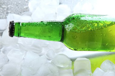 bir bira buz küpleri ile yakın