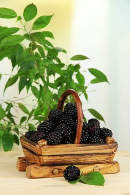 Olgun böğürtlen sepeti doğal zemin üzerine ahşap tablo