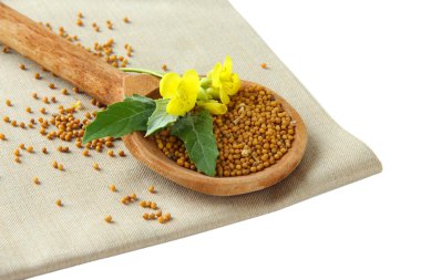 Hardal tohumu hardal çiçeği üzerinde beyaz izole tahta kaşıkla içinde