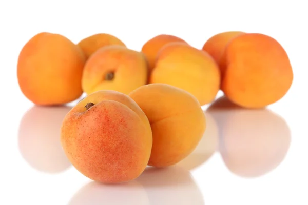 Apricots isolated on white — Stock Photo, Image