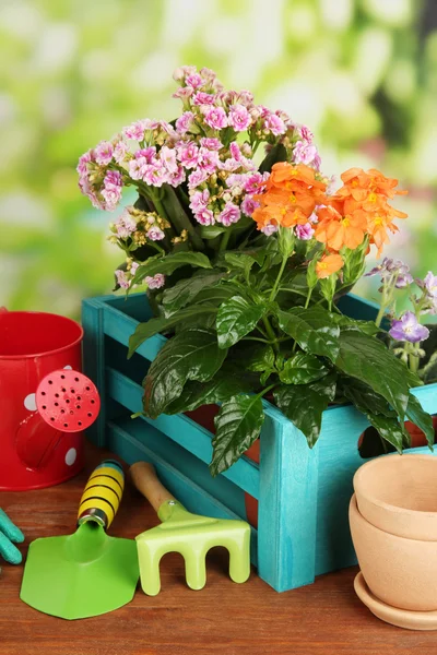 Красивые цветы в горшках на деревянном столе на естественном фоне — стоковое фото