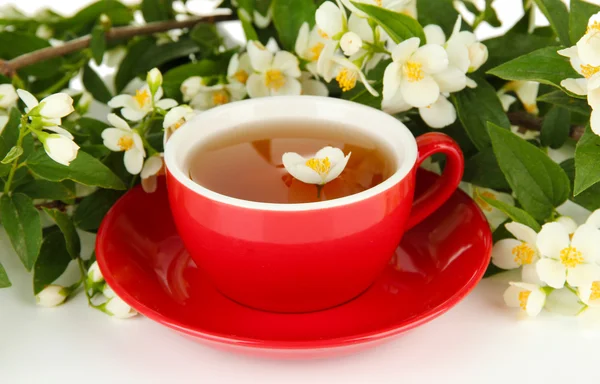 Tazza di tè con gelsomino, isolato su bianco — Foto Stock