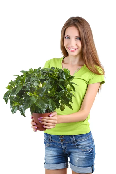 Hermosa chica con flor en maceta aislada en blanco — Foto de Stock