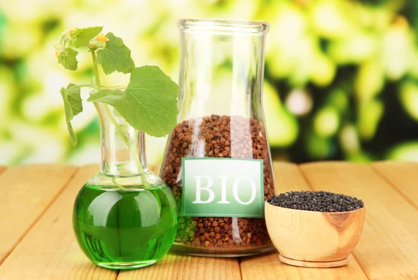 Foto concettuale del biocarburante . — Foto Stock