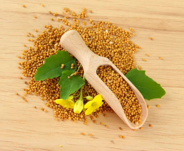 Mustard seeds with mustard flower on wooden background — Stock Photo, Image
