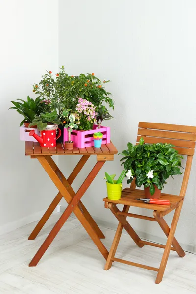 Muchas flores hermosas en la mesa y la silla en la habitación — Foto de Stock