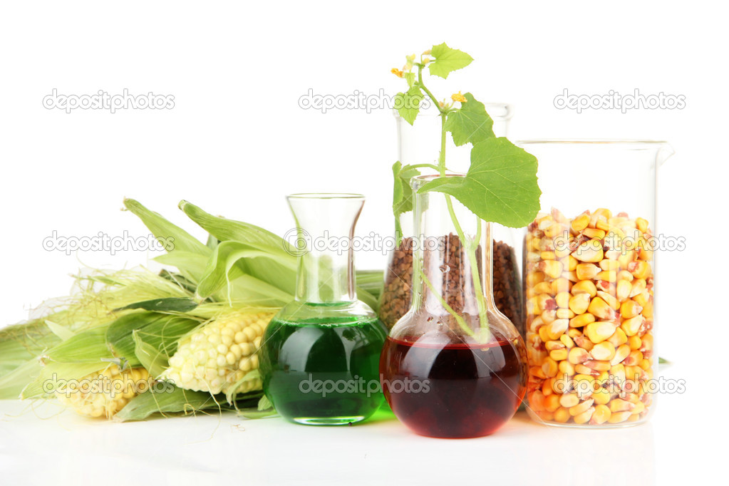 Conceptual photo of bio fuel. Isolated on white