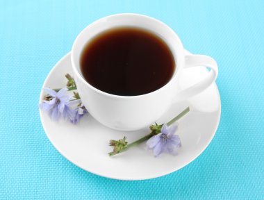 hindiba, mavi arka plan ile çay